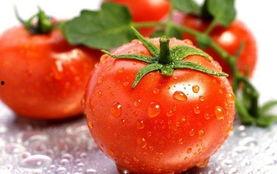 吃瓜太监小说番茄,番茄笔下吃瓜太监的逆袭传奇