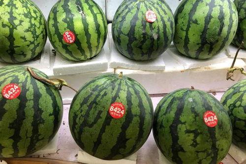 韩国吃瓜和在中国吃瓜,中韩两国“吃瓜”文化的碰撞与共鸣