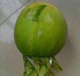 22日吃瓜事件,揭秘网络舆论背后的真相