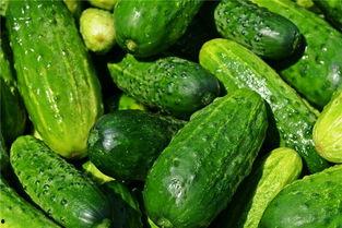 梦见别人给面瓜吃,面瓜之缘，揭秘人际关系的微妙变化