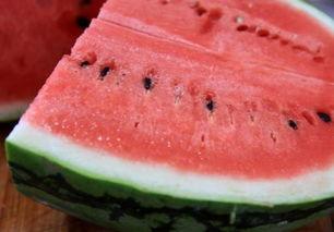 吃瓜红蚊,网络红人的崛起与争议