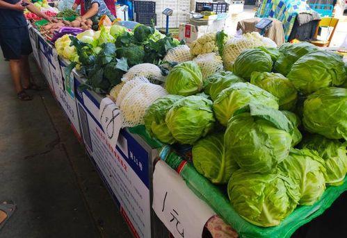 摆烂吃瓜2,揭秘娱乐圈幕后真相，带你领略明星们的真实生活