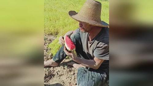 吃瓜干活,吃瓜群众如何助力娱乐圈风云变幻