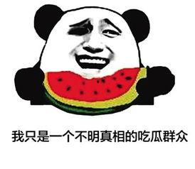 吃瓜群众小哈,揭秘娱乐圈那些事儿