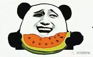 吃瓜感慨,揭秘娱乐圈背后的真相与感慨