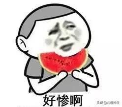 吃瓜感慨,揭秘娱乐圈背后的真相与感慨