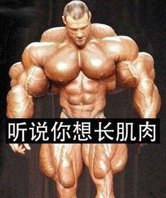 艾刚对着阿诺吃瓜,一场吃瓜盛宴背后的故事