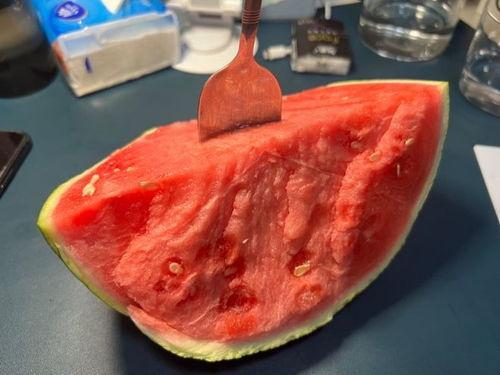 吃瓜太会中毒吗,揭秘网络舆论背后的健康隐患