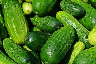 梦见吃啥密瓜,揭秘梦中密瓜的神秘寓意