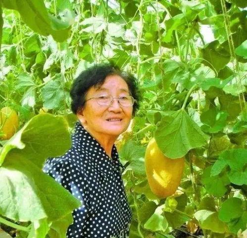 吃瓜奶奶吴明珠,揭秘吃瓜奶奶吴明珠的瓜界人生