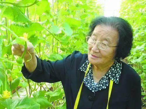 吃瓜奶奶吴明珠,揭秘吃瓜奶奶吴明珠的瓜界人生