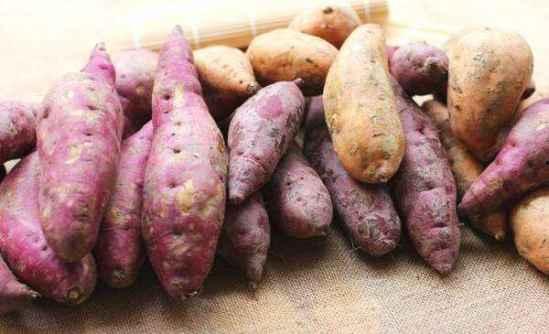 发霉的瓜切掉吃,巧手处理发霉瓜果的秘诀