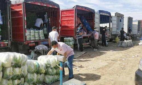 新发地吃瓜夫妻,一场意外引发的全民热议