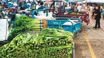 新发地吃瓜夫妻,一场意外引发的全民热议