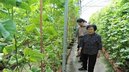 真实男女吃瓜故事文案