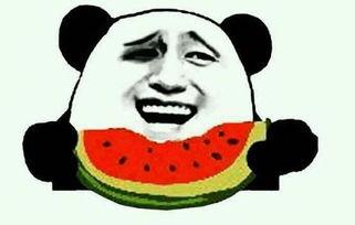 霸道军哥吃瓜,揭秘军营里的欢乐时光