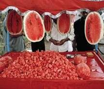 带着吃瓜群众去旅游,畅游世界美食之旅