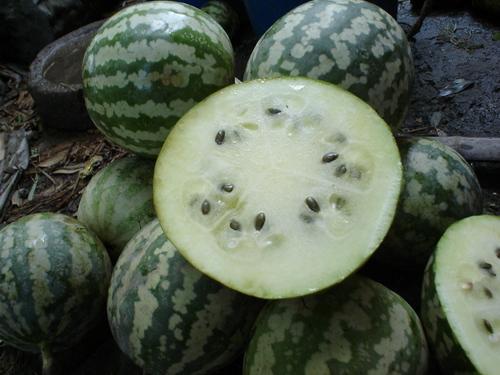 绿宝瓜蜜瓜小孩可以吃吗