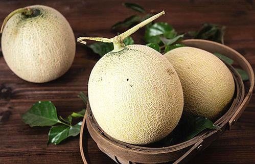 网纹瓜软吃口感,尽享夏日清新美味